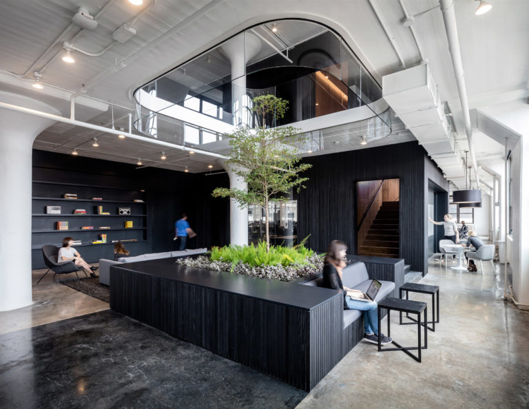 Project: Squarespace Global Headquarters. Architect: A+I. Landscape Designer: New York Green Roofs. Photo: Magda Biernat.