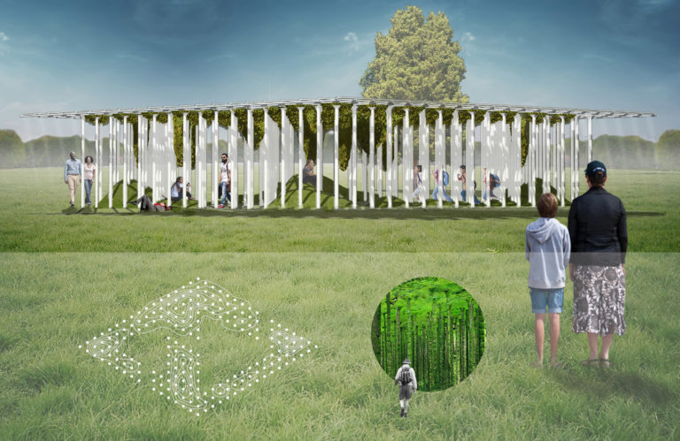 Mossgrove by Sam Biroscak in collaboration with Gina Dyches, Stephanie Borchers, Annick Lang, and Anneli Rice