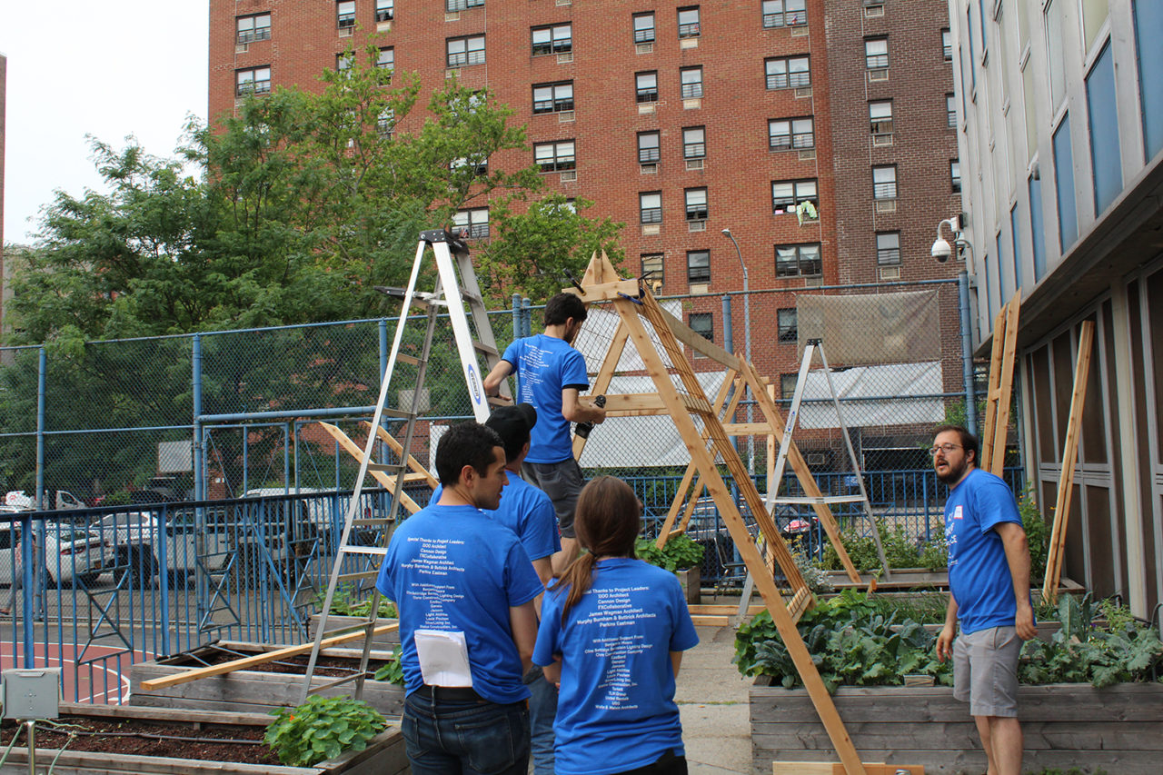 A public school in East Harlem added new architectural elements to their Edible Schoolyard gardens designed and executed by the Murphy Burnham & Buttrick team. Credit: Jake Frisbie.
