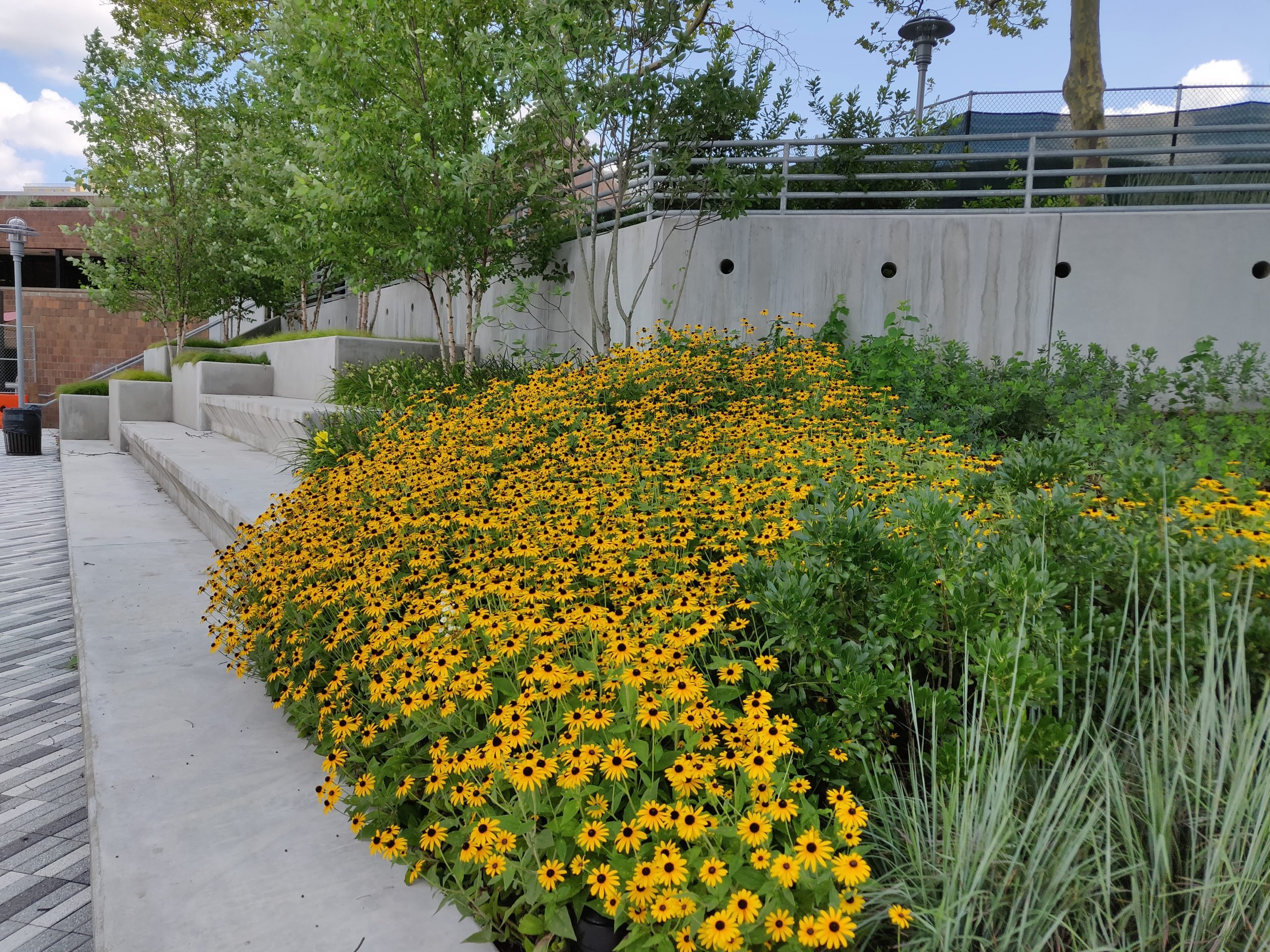 Roberto Clemente State Park Esplanade. Photo: Jackson Wandres.