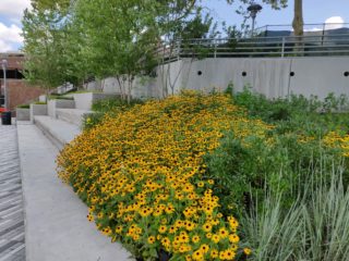 Roberto Clemente State Park Esplanade. Photo: Jackson Wandres.