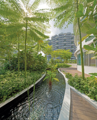 HOK's Ng Teng Fong General Hospital "Respite Garden." Photo: HOK.