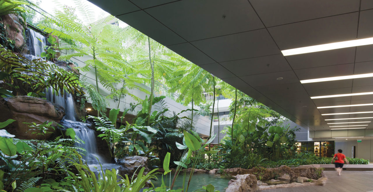 RMJM's Khoo Teck Puat Hospital's interior open-air courtyard. Photo: RMJM.