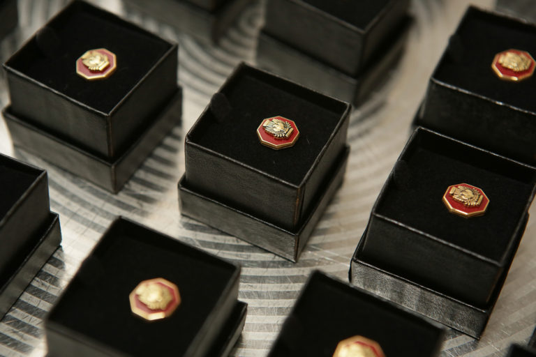 AIA Fellowship pins