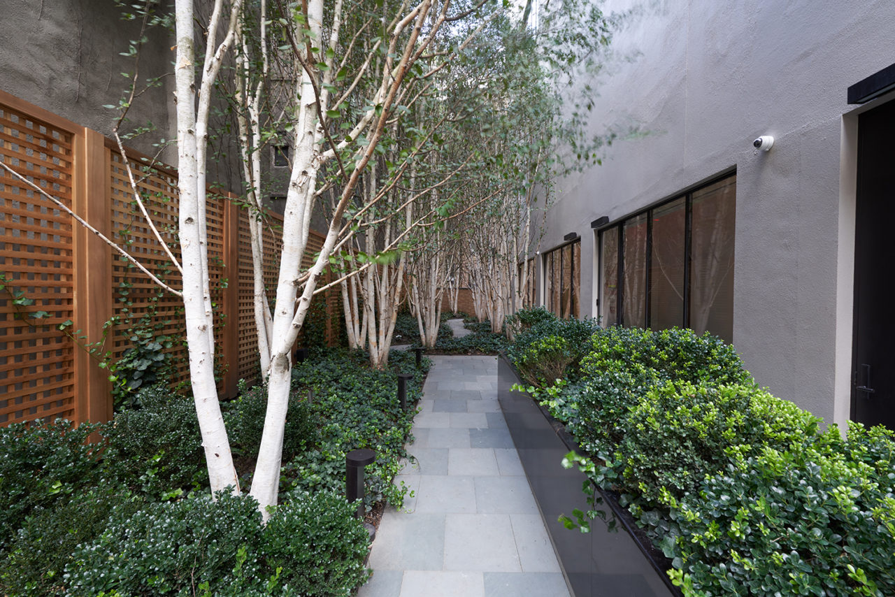 The Brant Foundation New York by Gluckman Tang. Image credit: Sean Keenan, courtesy of The Brant Foundation.