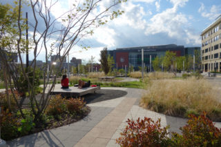 Mulberry Commons Park by Sage and Coombe Architects (Architect) and Supermass Studio (Landscape Architect).