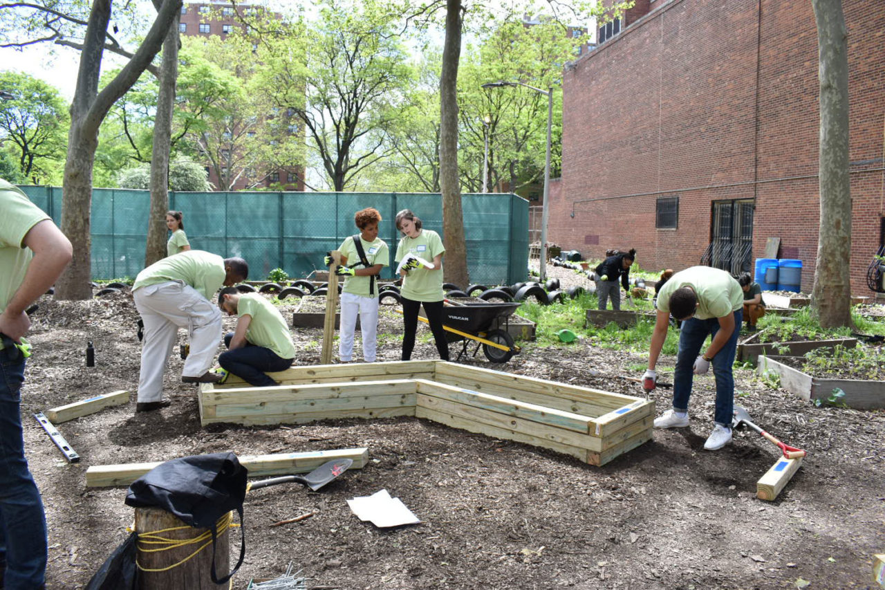 Ennead's Project for Concrete Safaris. Photo: Gigi Singh.