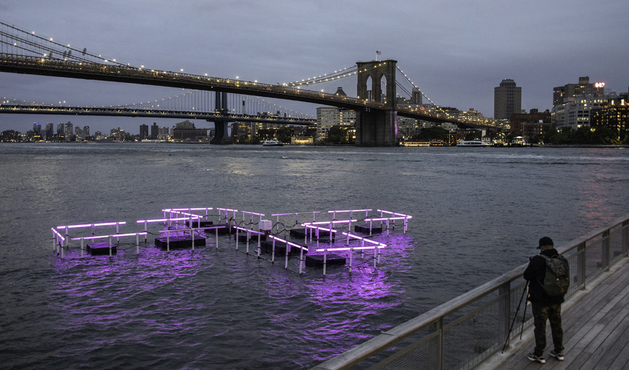 + POOL Light installation by PLAYLAB, INC and Family New York. Image credit: Brett Beyer.