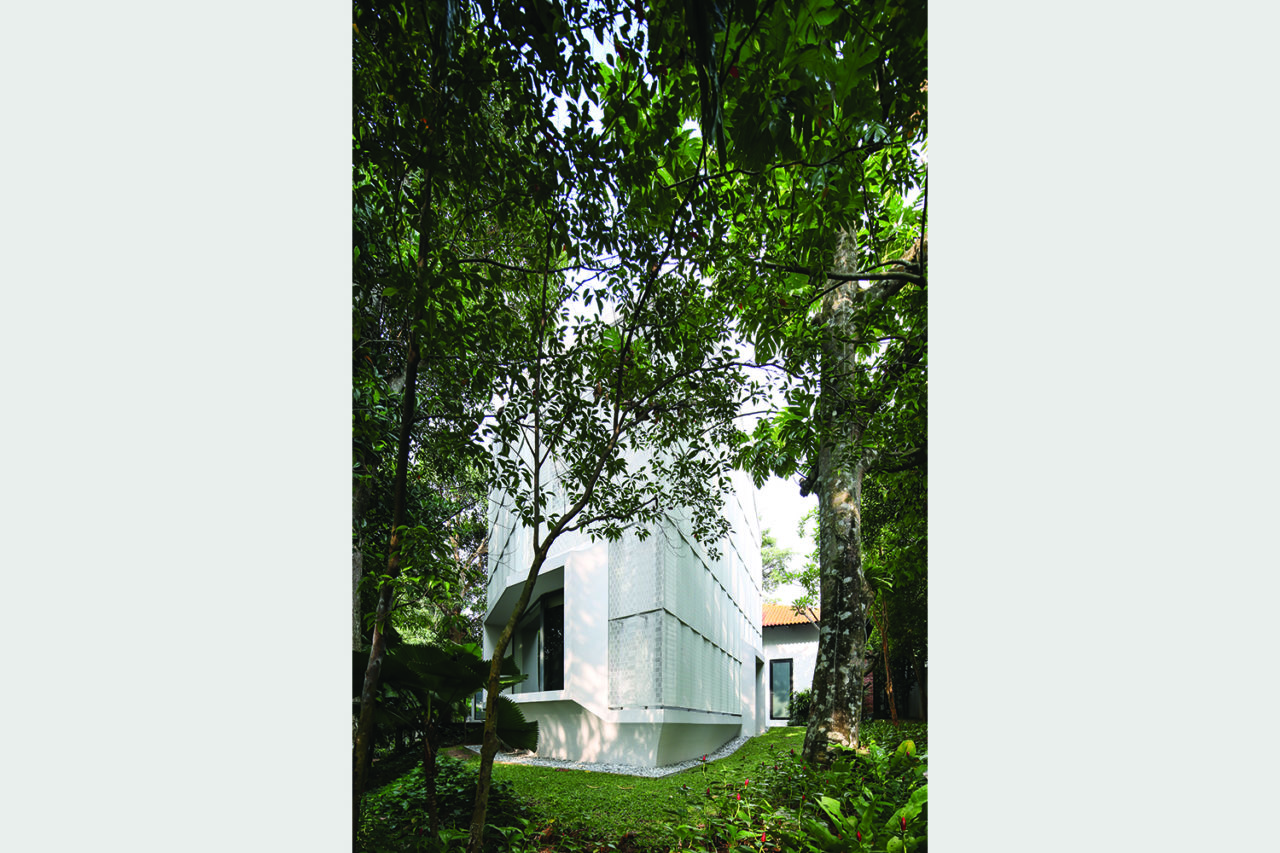 Hut House, West elevation through jungle, Singapore. Photo: Khoo Guo Jie.