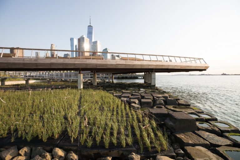 Pier 26 by OLIN. Photo: Max Guliani for Hudson River Park.