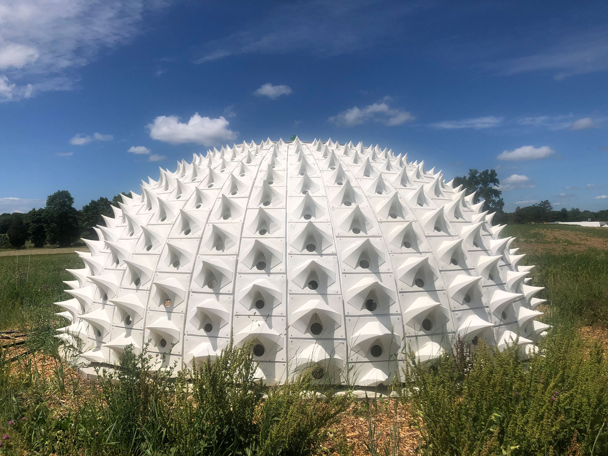 Pollinators Pavilion. Architect: Harrison Atelier. Location: Hudson, NY. Photo: Ariane Harrison.