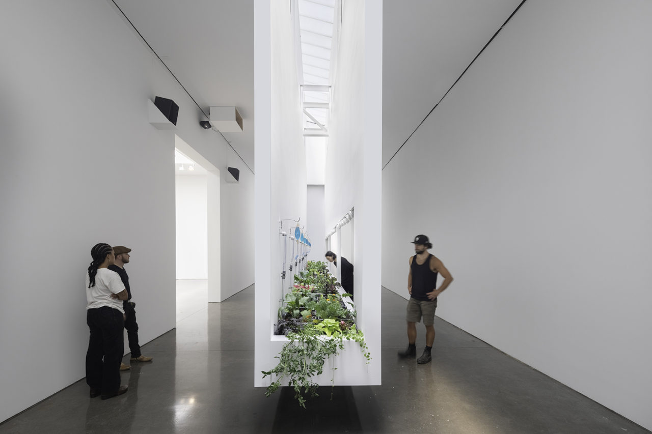 Are we really that different? by Diller Scofidio + Renfro and Linda Goode Bryant. Image: Brett Beyer.