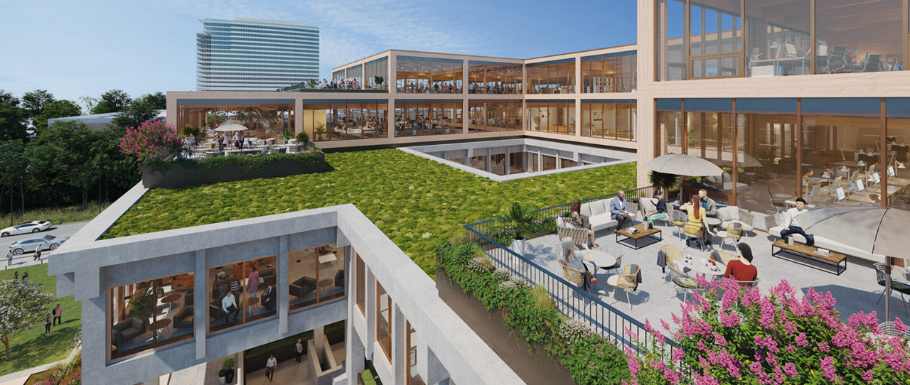 Rendering of Campus 244 featuring a rooftop terrace with seating and greenery.