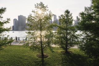 The East River and Lower Manhattan skyline as seen through the trees in Brooklyn Bridge Park.