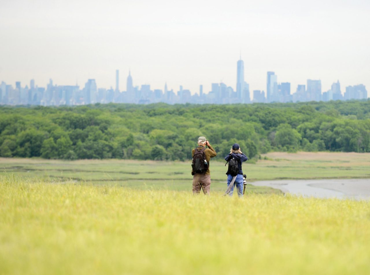 A view of Manhattan's skyline from a field in Freshkills Park