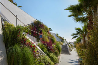 A lushly landscaped pathway within the Marea housing development in Lebanon