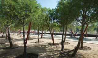 A linear green space in Madrid and part of the larger redevelopment of Madrid's riverbank, includes bent and leaning trees with bright red braces.