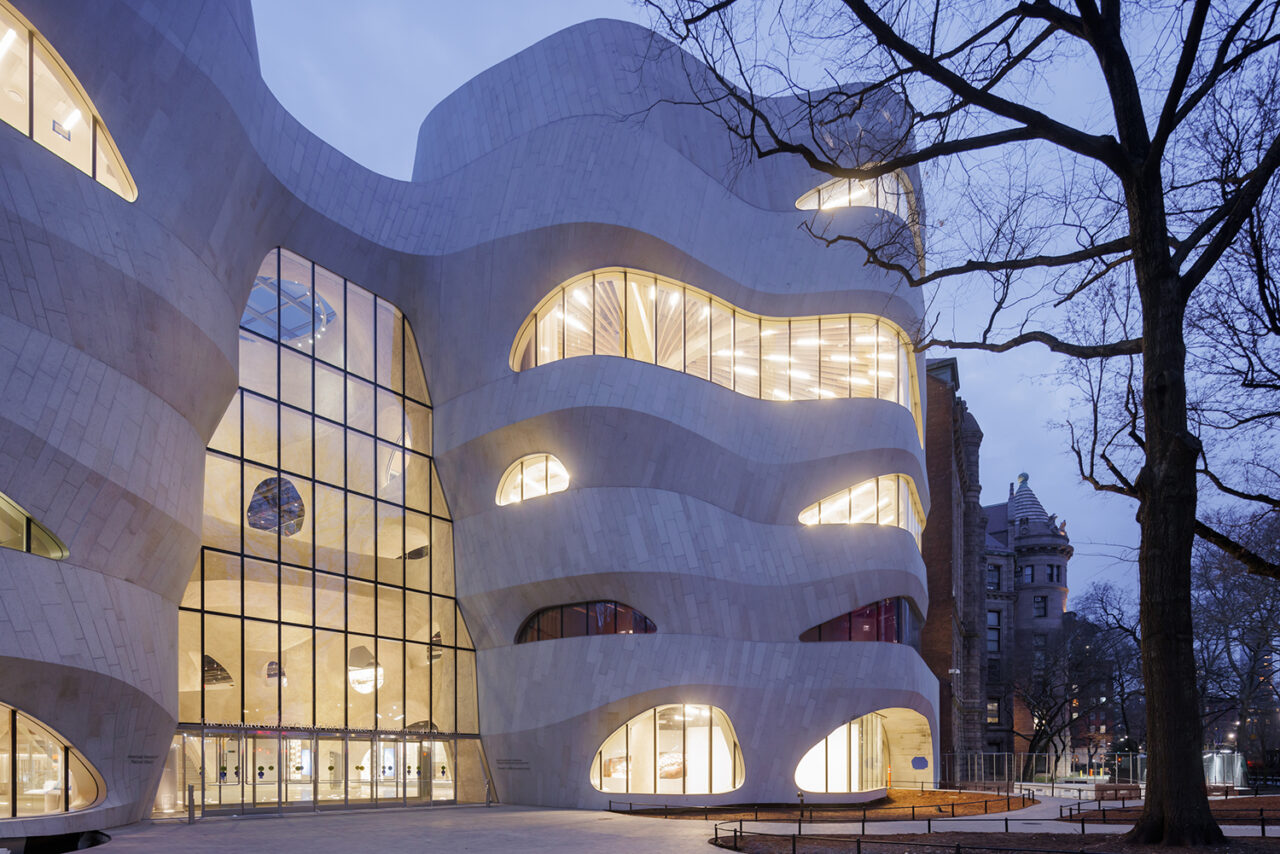 At dusk, the curved windows of the Richard Gilder Center for Science, Education, and Innovation exude an inviting soft glow. From this vantage point in the renovated section of Theodore Roosevelt Park, the Gilder Center can be viewed in the context of the Museum’s existing campus, visible just beyond the Gilder Center’s gently undulating façade.