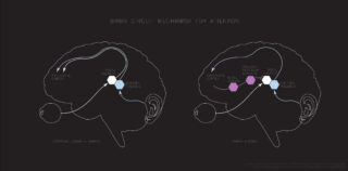 Figure 1: An illustration of attention and sensory gating processes