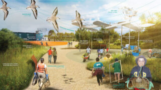 A rendering of the outdoor ecological lab and horseshoe crab monitoring station at the Launch School at Floyd Bennett Field