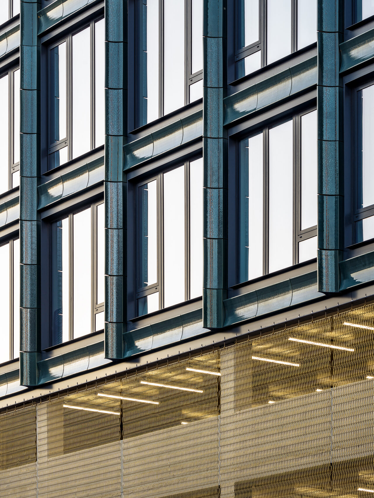 Green House by STUDIO V Architecture. Photo: Alexander Severin Architectural Photography.