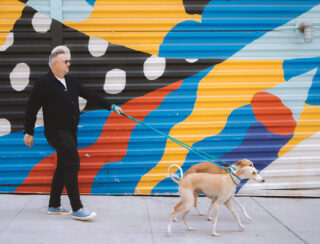 Portrait of Matthew Bremer walking two dogs on the sidewalk in front of a bright mural
