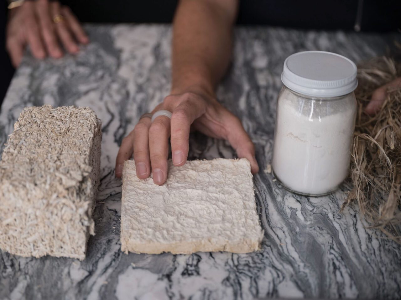 Samples of hemplime, lime powder, and a hemp plant