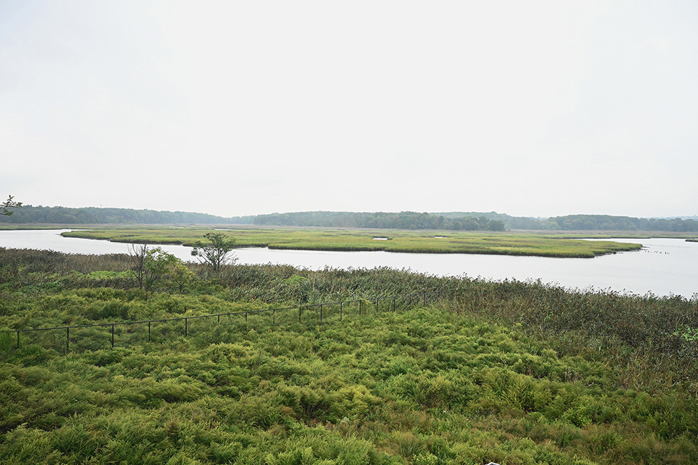 Freshkills North Park