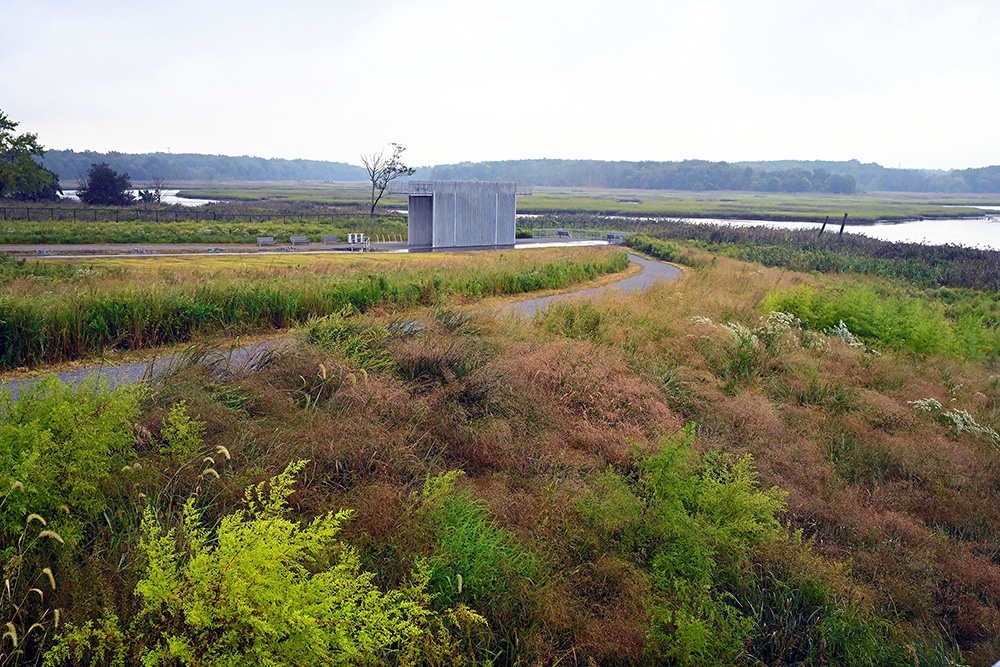 Freshkills North Park