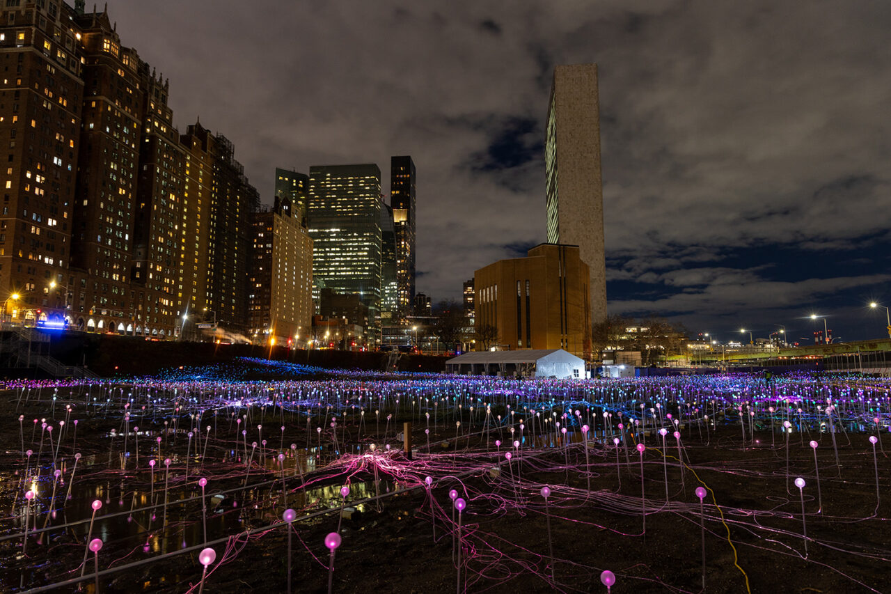 Field of Light installation