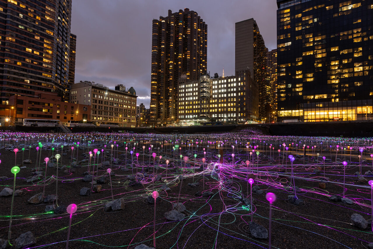 Field of Light installation
