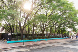Refreshing Water in the Bronx, NY.