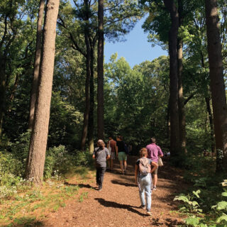 An image of citizens hiking in a section of Brooklyn forest.