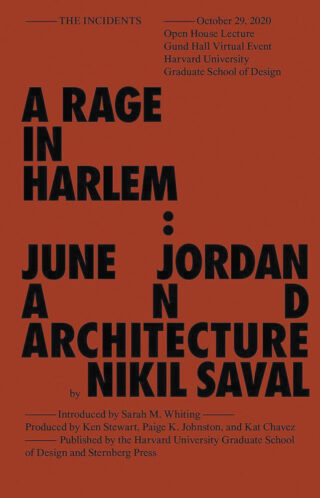 Cover of A Rage in Harlem book
