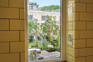 04 OpEd PS084 01 Crop