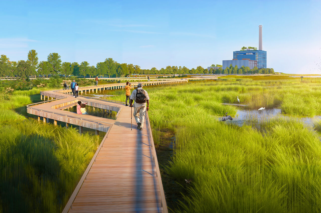 People walk along a path through a bright green marsh.