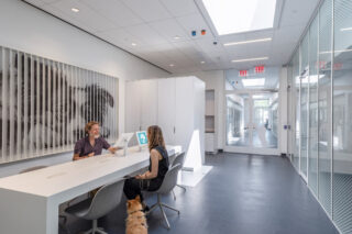 Interior of pet adoption center. White decor and front desk setting.