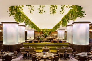 Interior of restaurant with biophilic roof design.