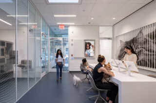 Interior of pet adoption center. White decor and front desk setting.