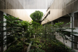 Interior courtyard with plants.