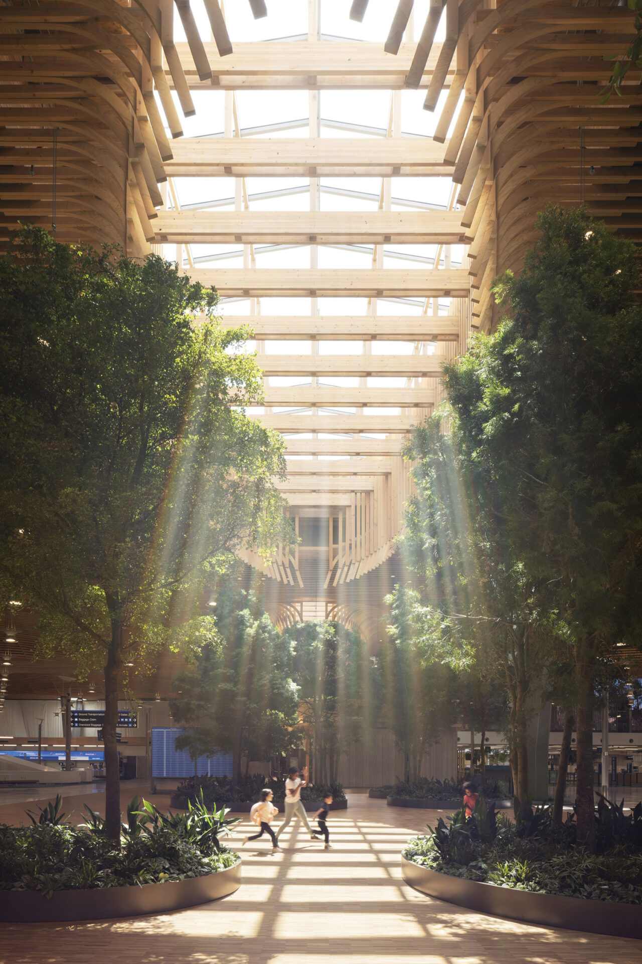 Mass timber roof skylight in PDX.