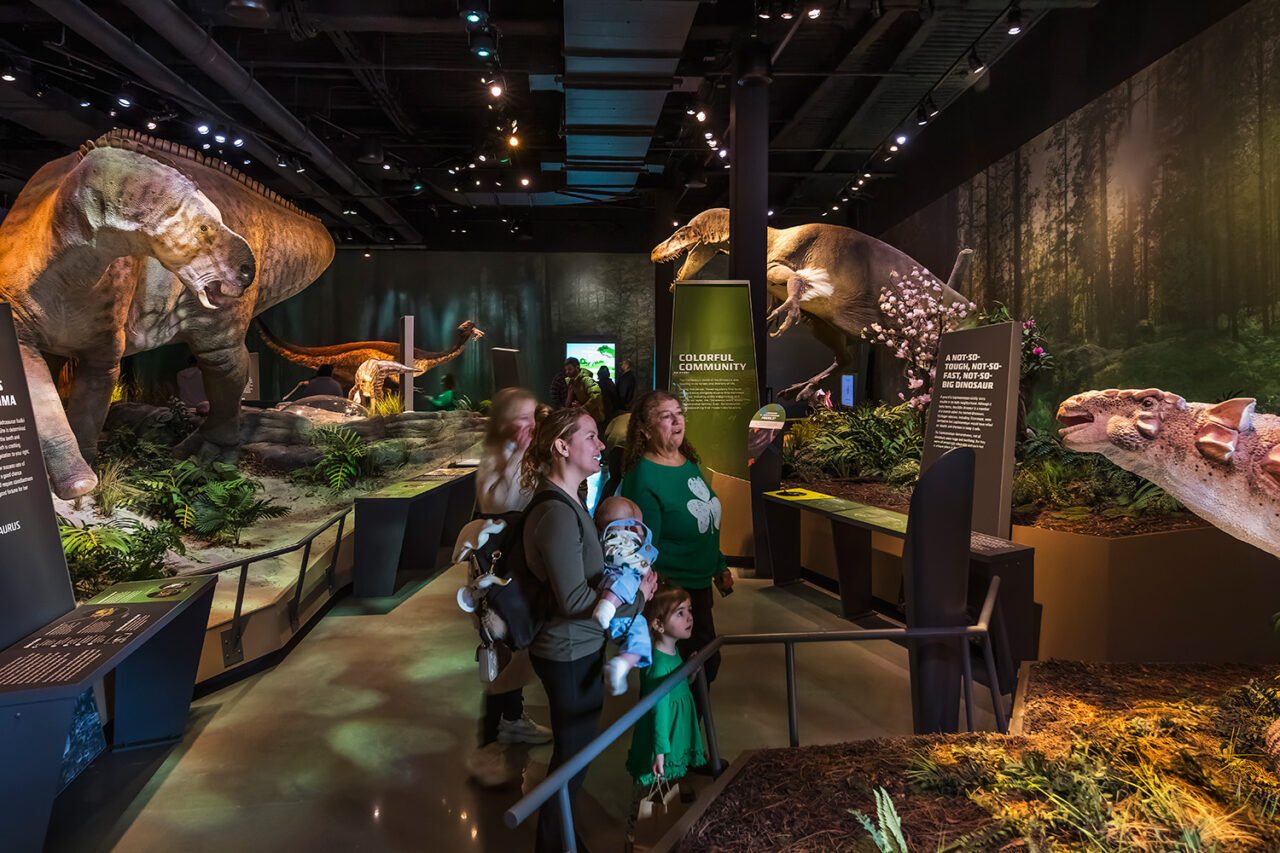 Visitors look at a fossil exhibit.