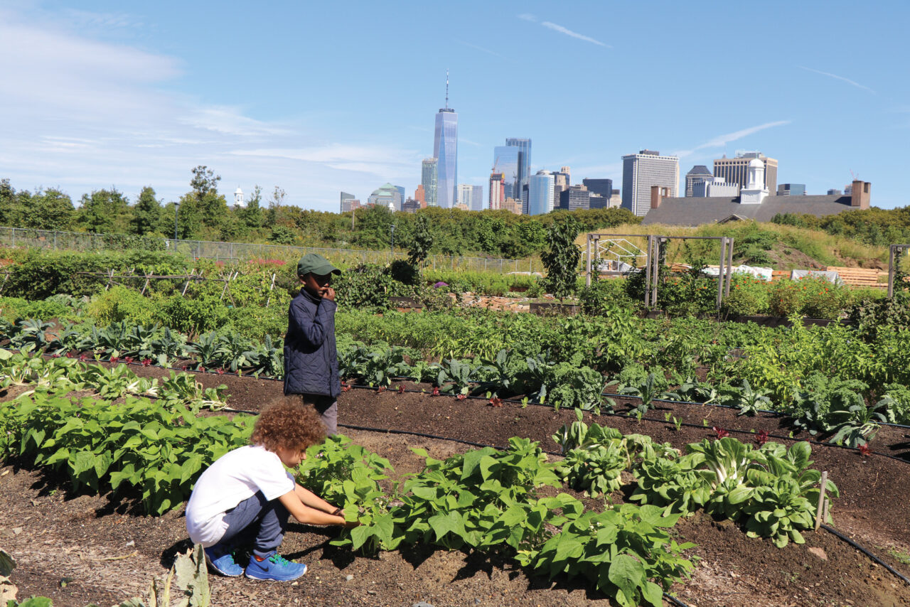 GrowNYC's Governors Island Teaching Garden is a one-acre urban farm where the organization provides school tours for over 5,000 schoolchil-dren every year. The farm is also open to the public on weekends.