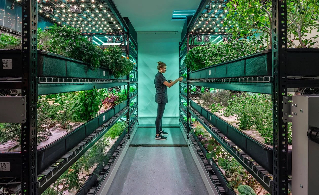 Farm.One is an indoor vertical farm in Manhattan using hydroponic technology to grow rare culinary herbs for NYC’s finest restaurant chefs. Agritecture designed and installed Farm.One’s first facility, recruited their head grower, and researched rare crop species for production.
