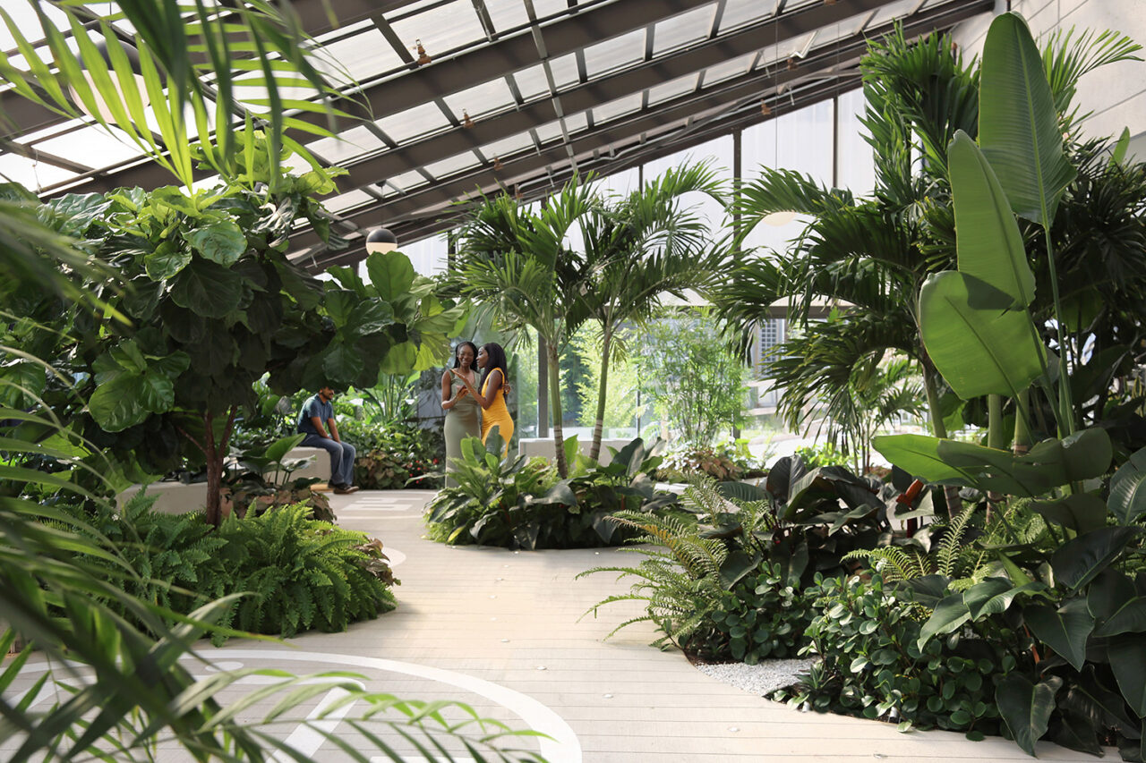 Aviation Garden by Aufgang Architects, OSD, and Studio Parallel in Queens, NY. Image: Simon David/OSD.