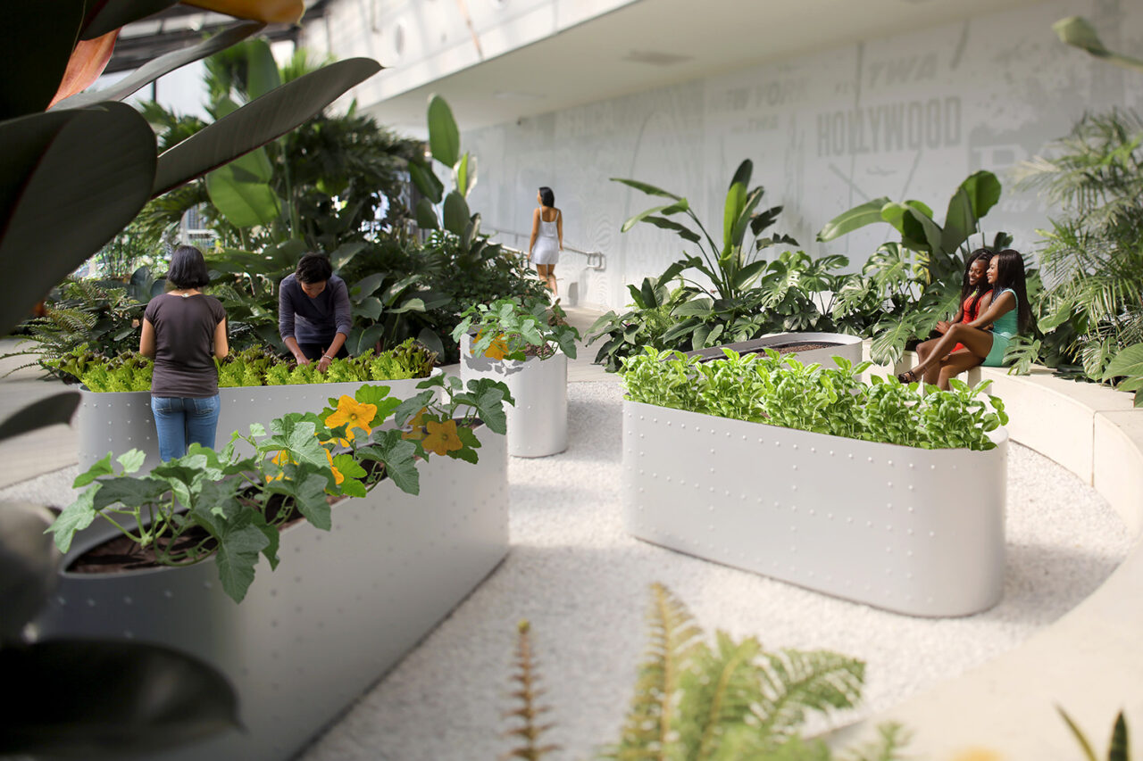 Aviation Garden by Aufgang Architects, OSD, and Studio Parallel in Queens, NY. Image: Simon David/OSD.