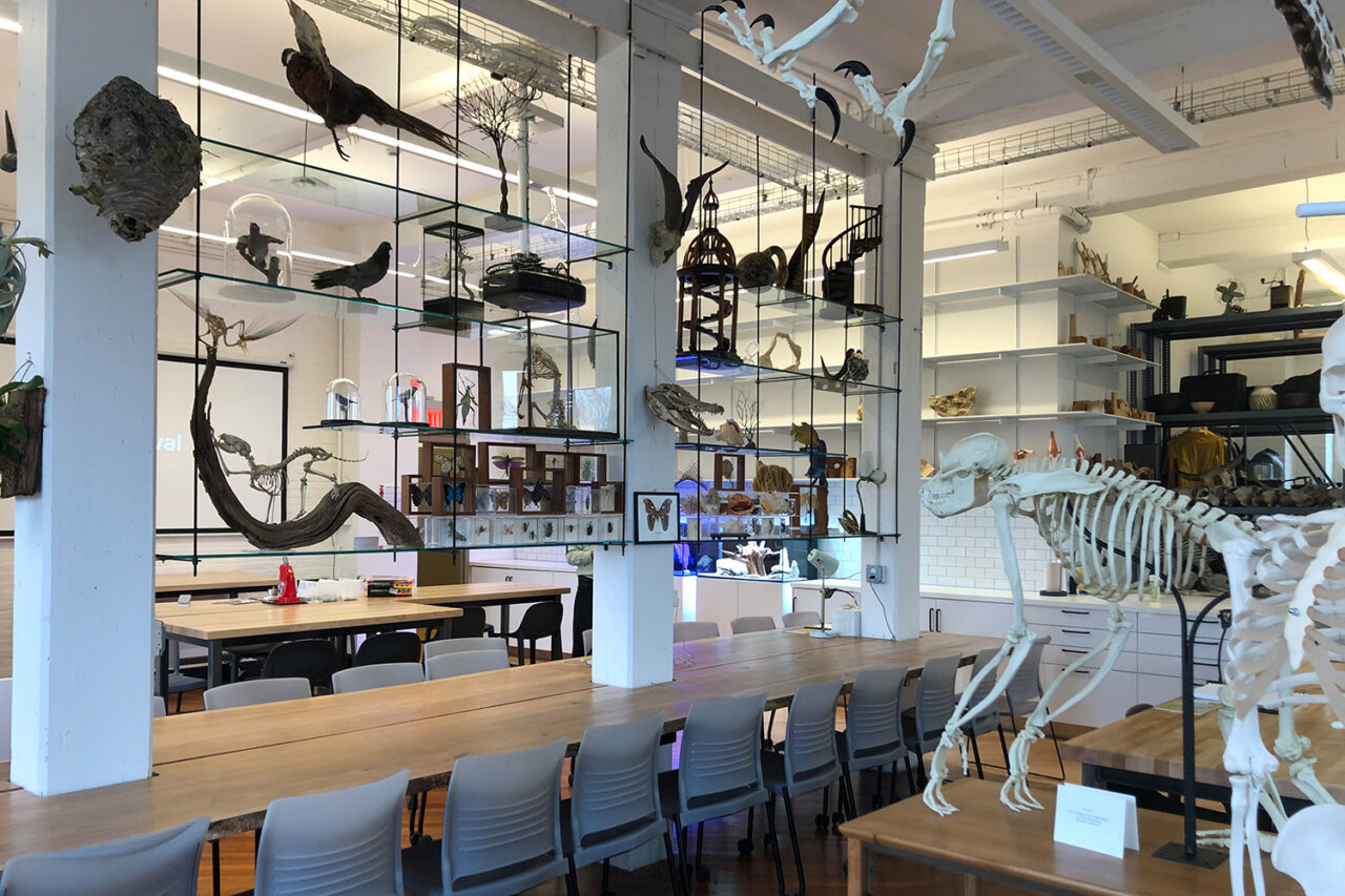 Pratt Institute Foundations Lab in Brooklyn, NY. Photo: Kimberlae Saul.