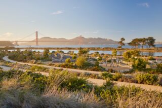 Presidio Tunnel Tops