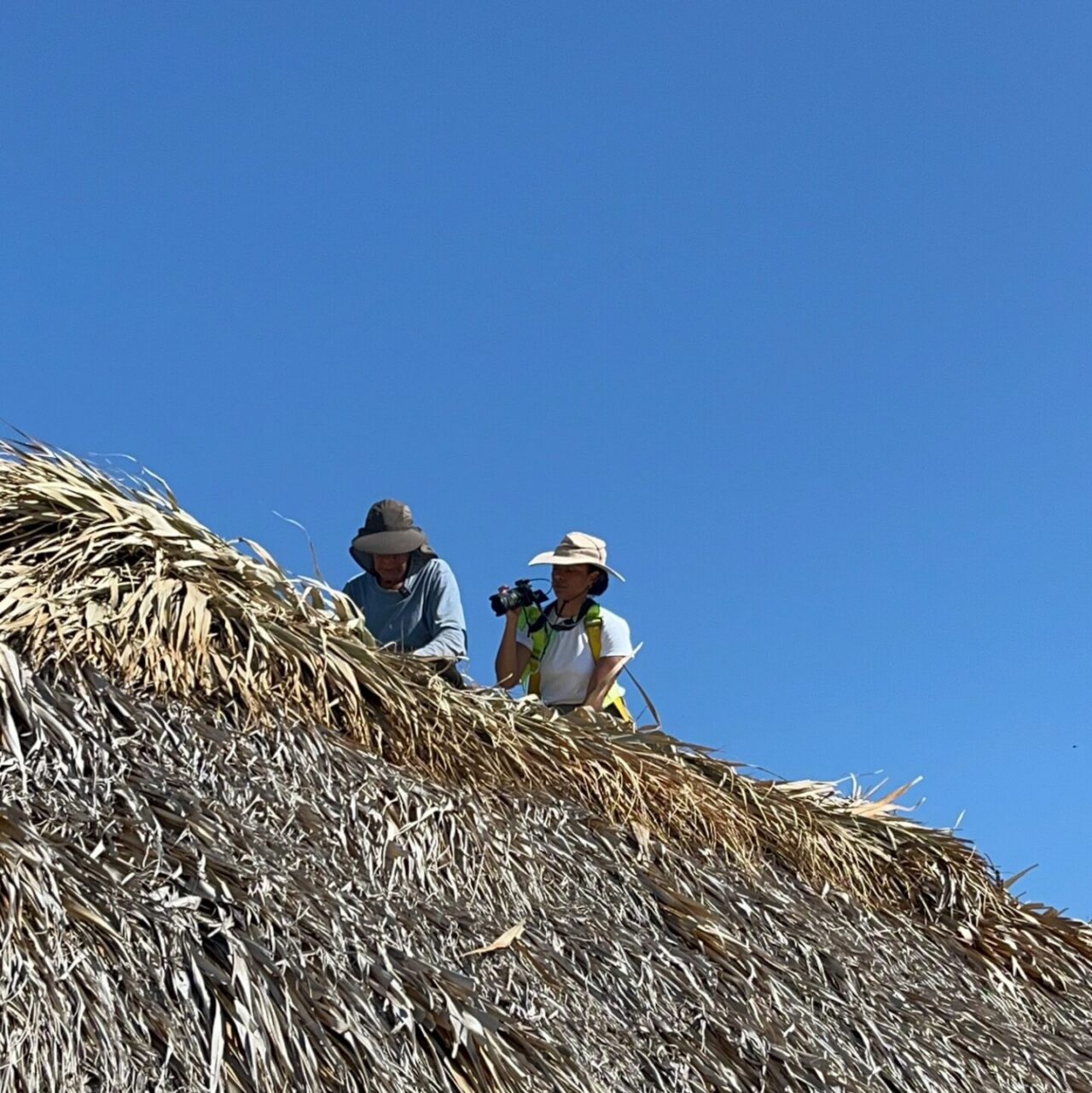 Two people climbing on thatched roof