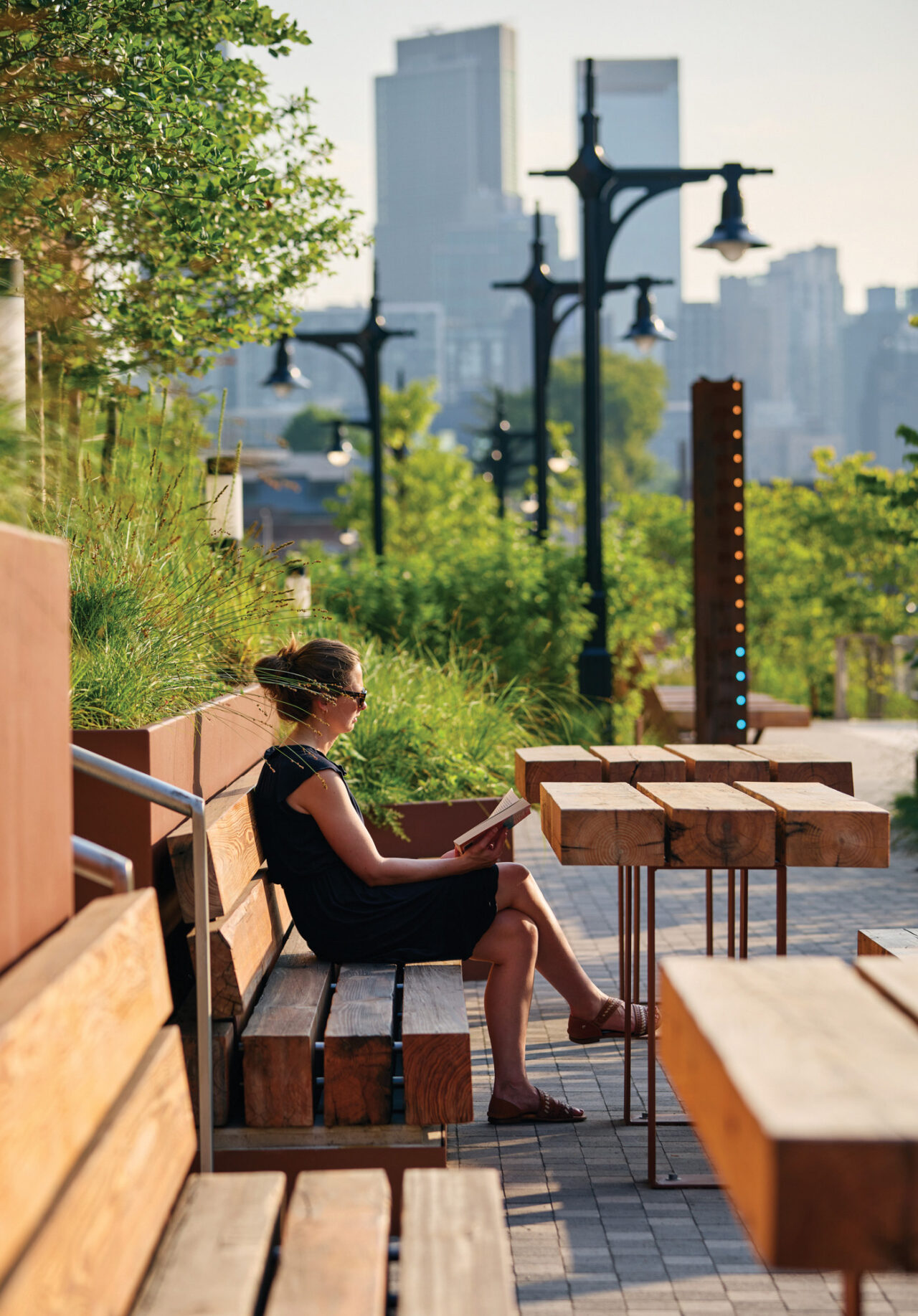 Salt-tolerant native vegetation designed to handle coastal conditions and filter stormwater surround the benches and picnic tables at the Sackett Community Hub.